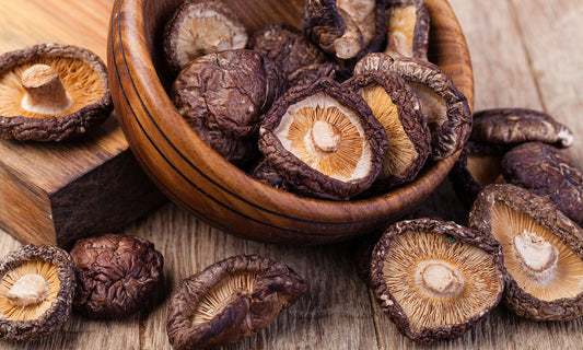 Uncovering the Health Benefits and Uses of Shiitake Mushroom Extract