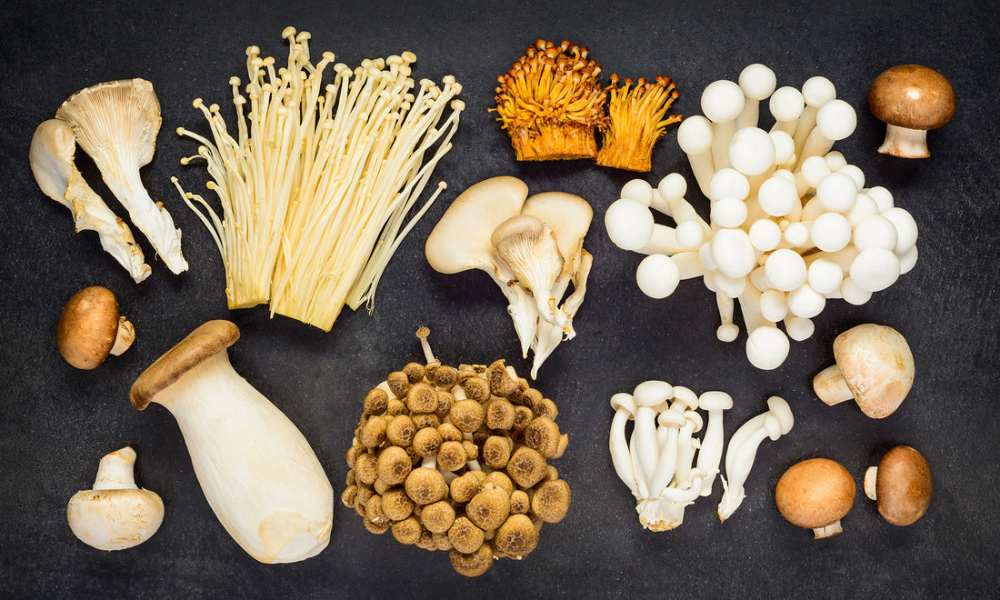 The Top 10 Most Popular Mushroom Varieties and Their Benefits